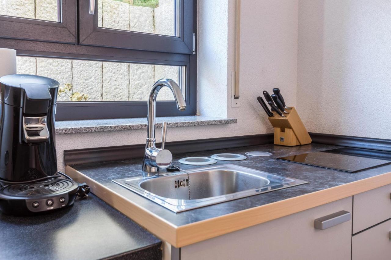 קונסטנץ Ferienwohnung Lago מראה חיצוני תמונה